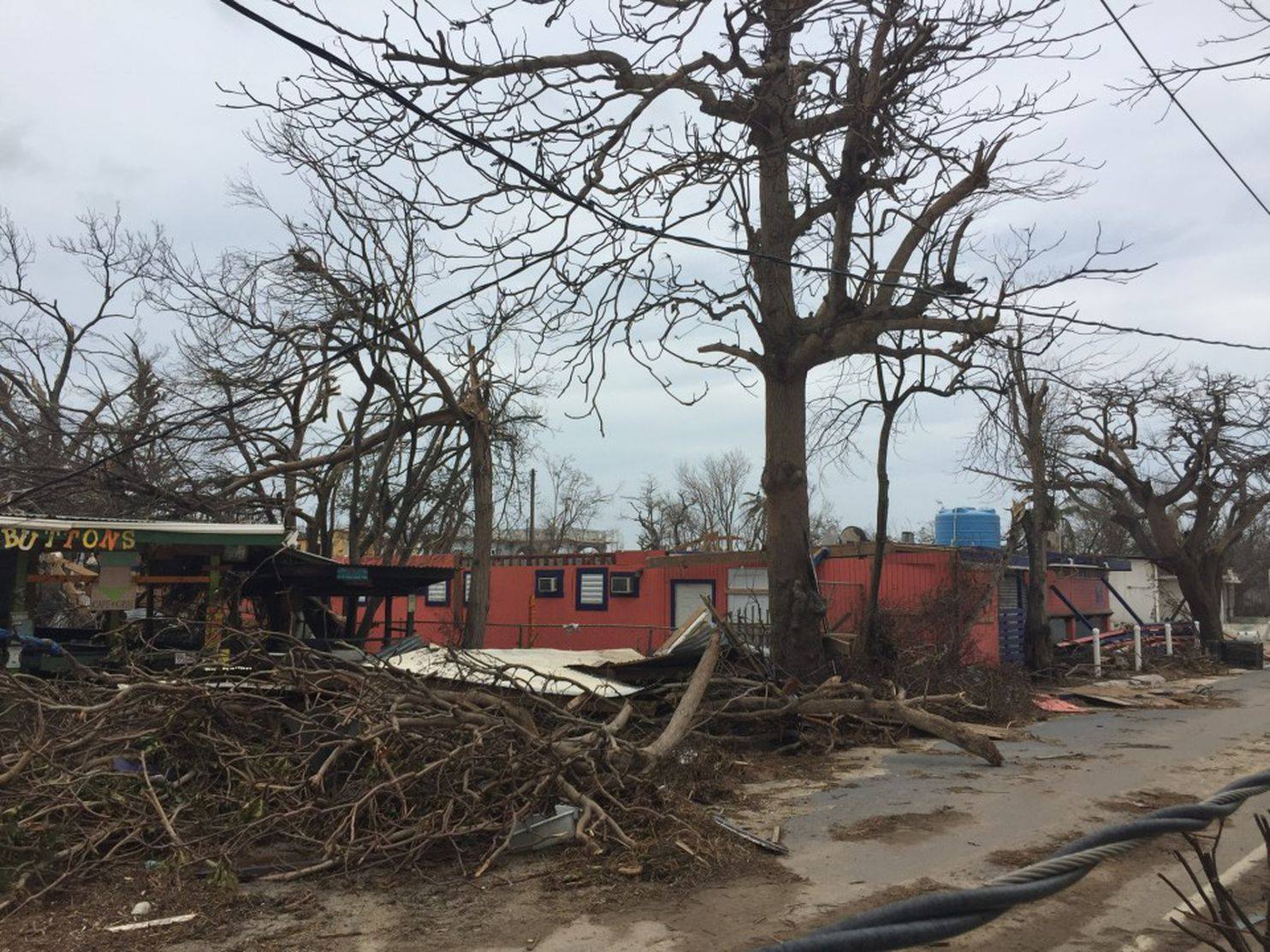  My favorite bar in the Caribbean,  Lazy Jack's , in Vieques 